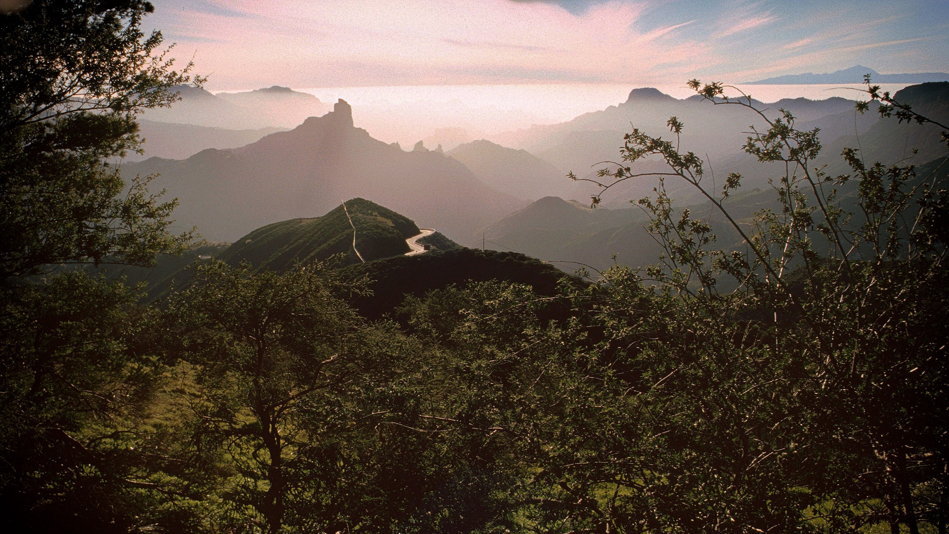 Spanien - Kanarische Inseln - Gran Canaria - Am Cruz de la Tejada